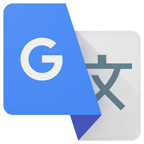 Google Translate: Still the Ultimate Pocket Interpreter, or a Work in Progress?